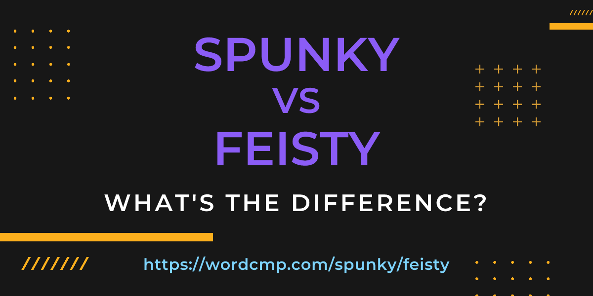 Difference between spunky and feisty
