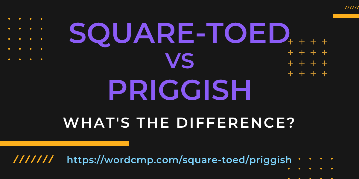 Difference between square-toed and priggish
