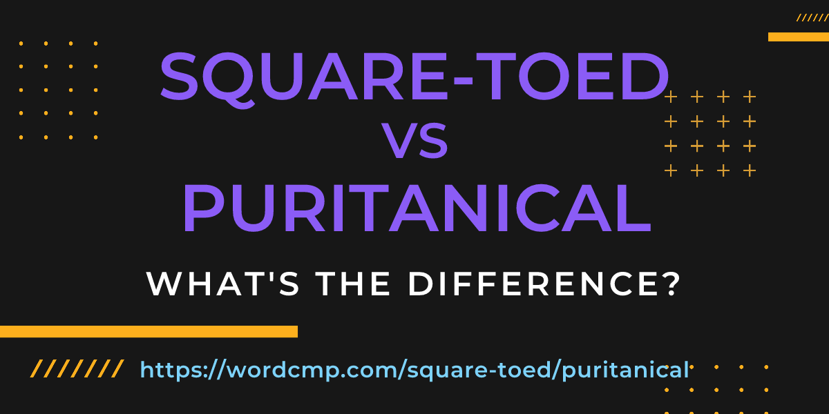 Difference between square-toed and puritanical
