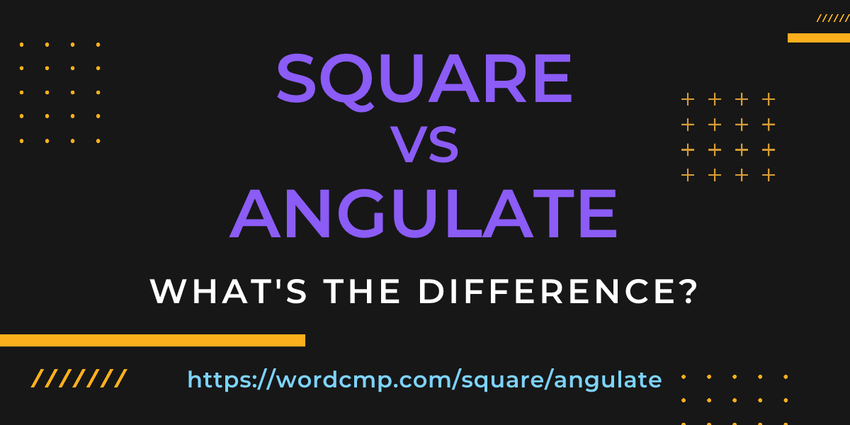 Difference between square and angulate