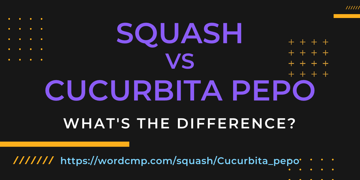 Difference between squash and Cucurbita pepo