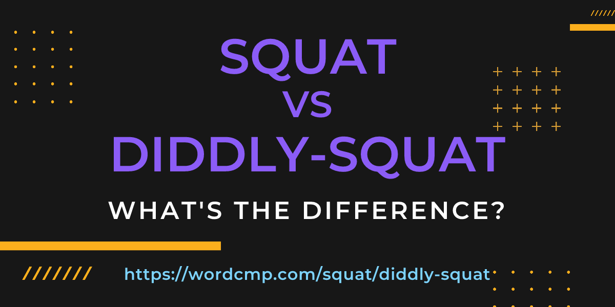 Difference between squat and diddly-squat