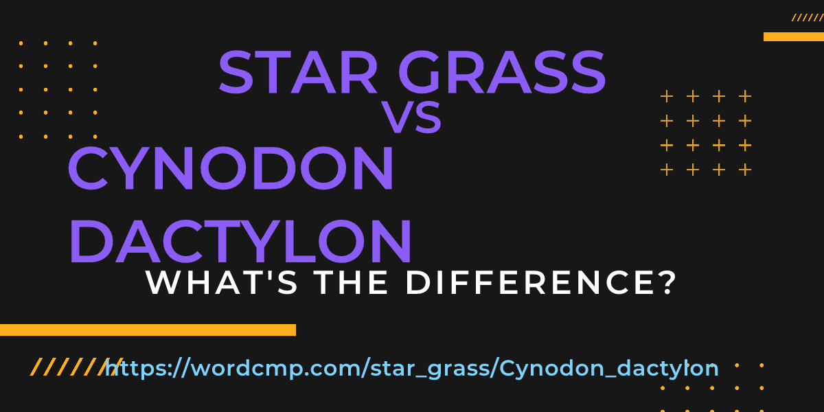Difference between star grass and Cynodon dactylon
