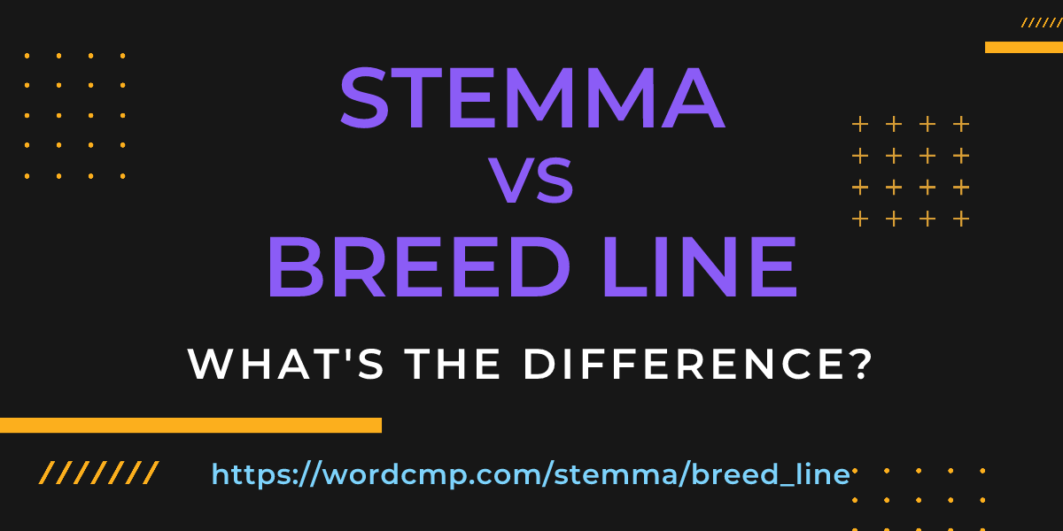 Difference between stemma and breed line