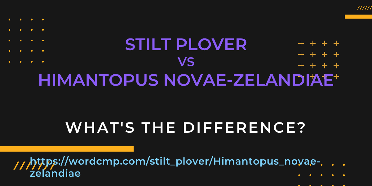 Difference between stilt plover and Himantopus novae-zelandiae