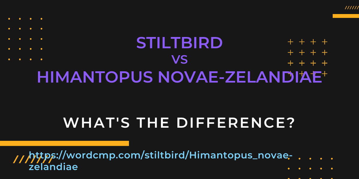 Difference between stiltbird and Himantopus novae-zelandiae