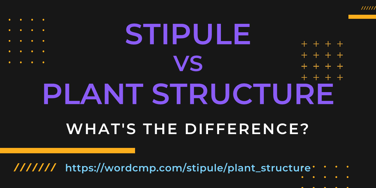 Difference between stipule and plant structure