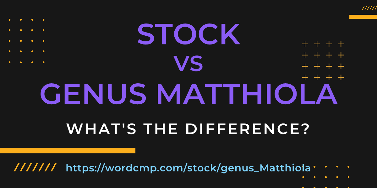 Difference between stock and genus Matthiola