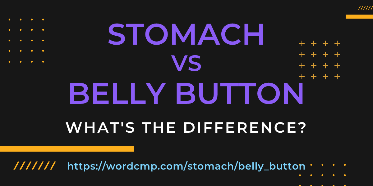 Difference between stomach and belly button