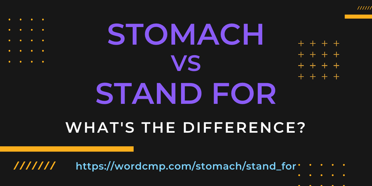Difference between stomach and stand for