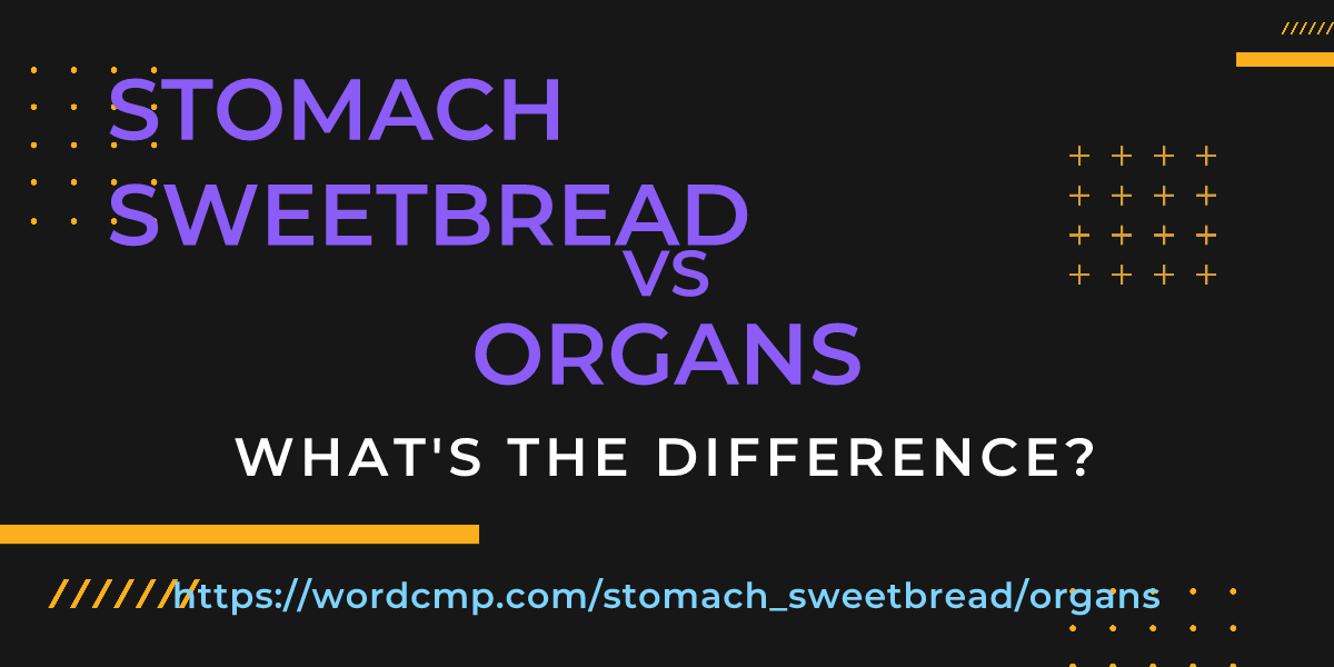 Difference between stomach sweetbread and organs