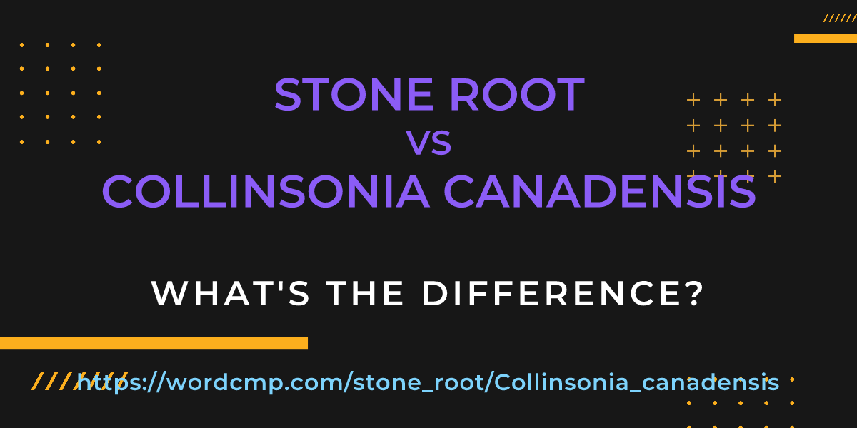 Difference between stone root and Collinsonia canadensis