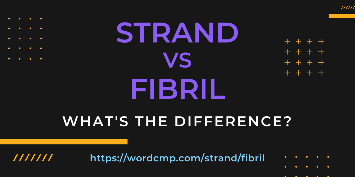 Difference between strand and fibril