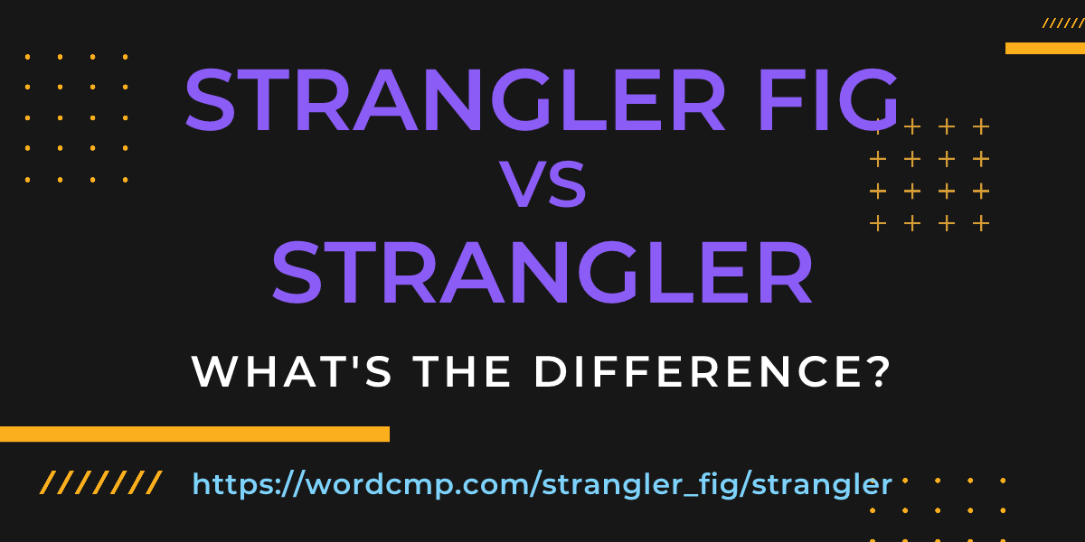 Difference between strangler fig and strangler