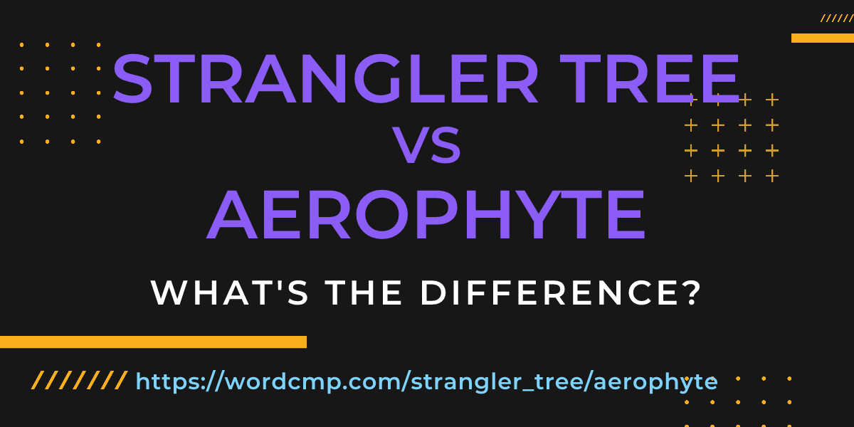 Difference between strangler tree and aerophyte