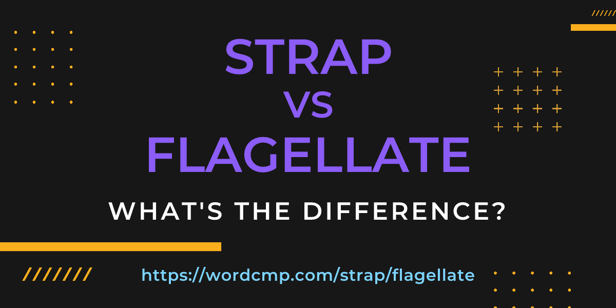 Difference between strap and flagellate
