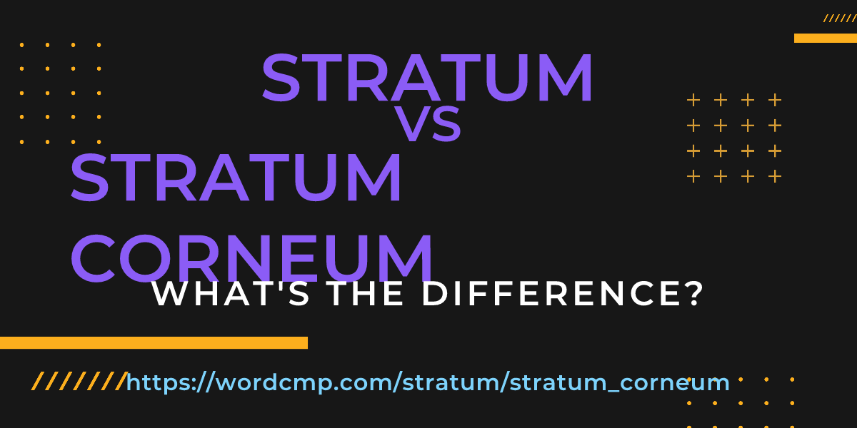 Difference between stratum and stratum corneum