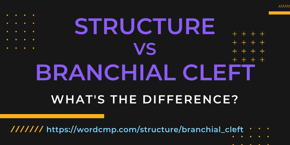 Difference between structure and branchial cleft