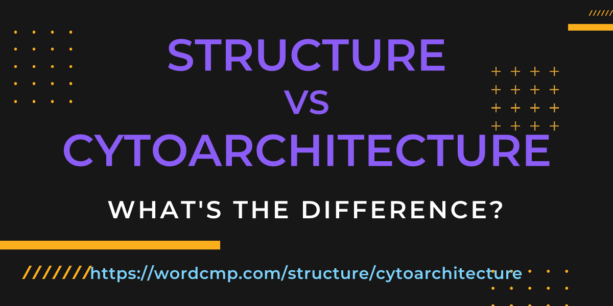 Difference between structure and cytoarchitecture