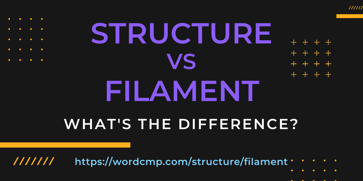 Difference between structure and filament