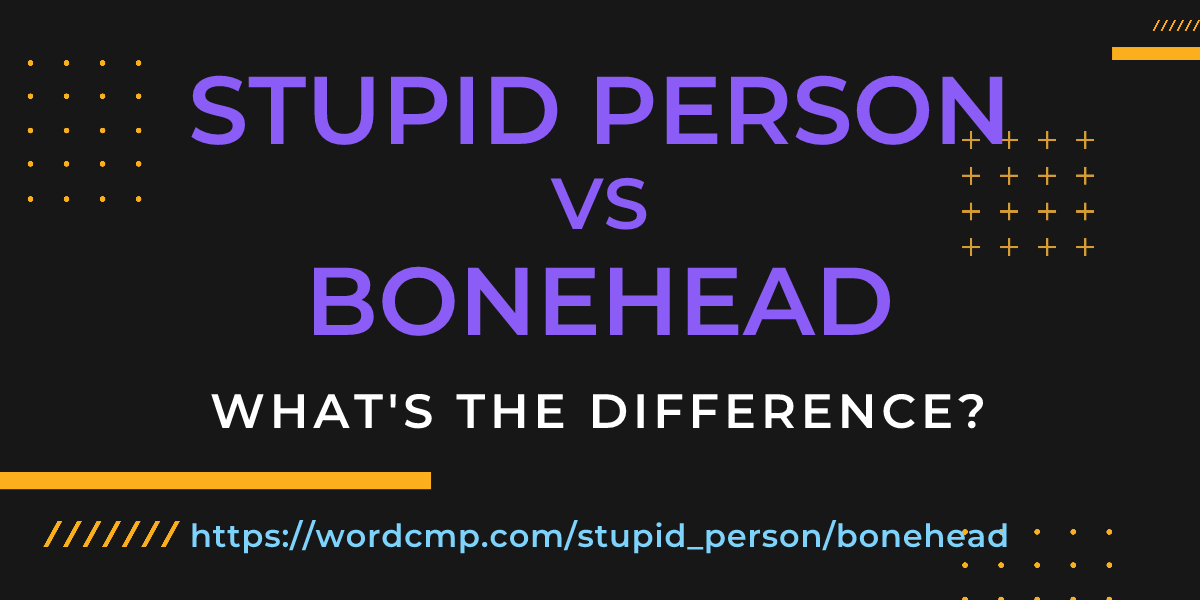 Difference between stupid person and bonehead