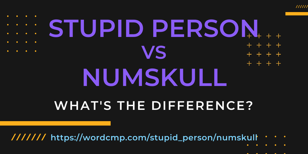 Difference between stupid person and numskull