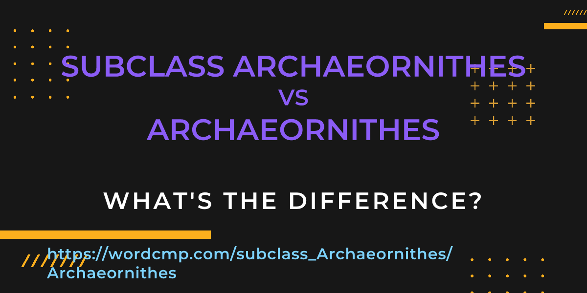 Difference between subclass Archaeornithes and Archaeornithes