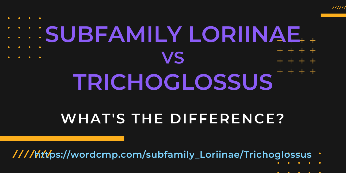 Difference between subfamily Loriinae and Trichoglossus