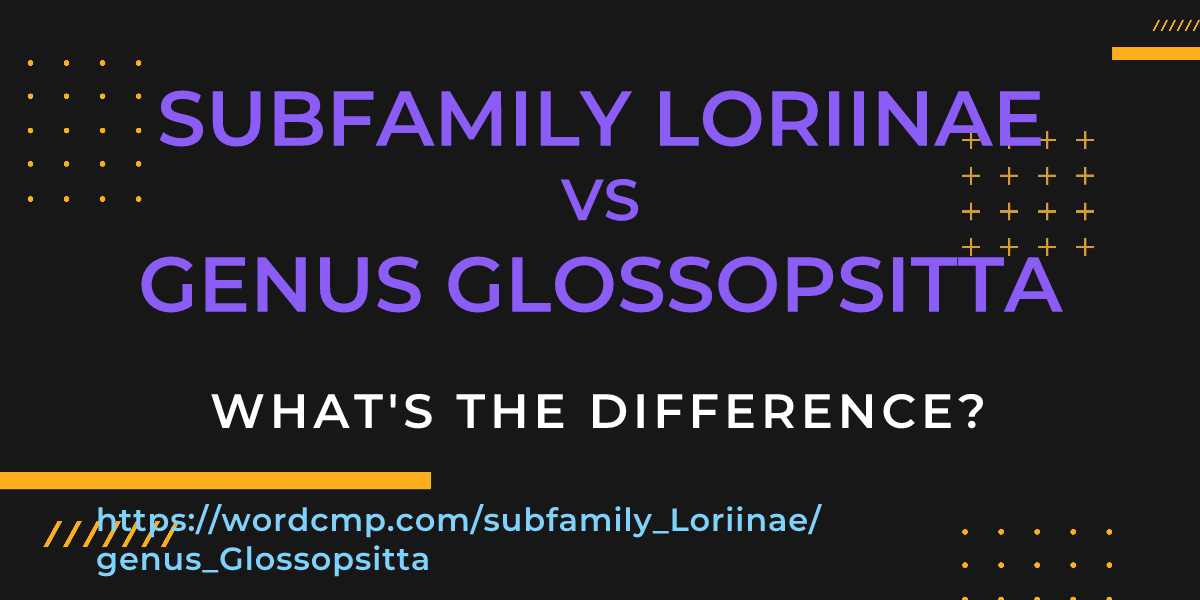 Difference between subfamily Loriinae and genus Glossopsitta