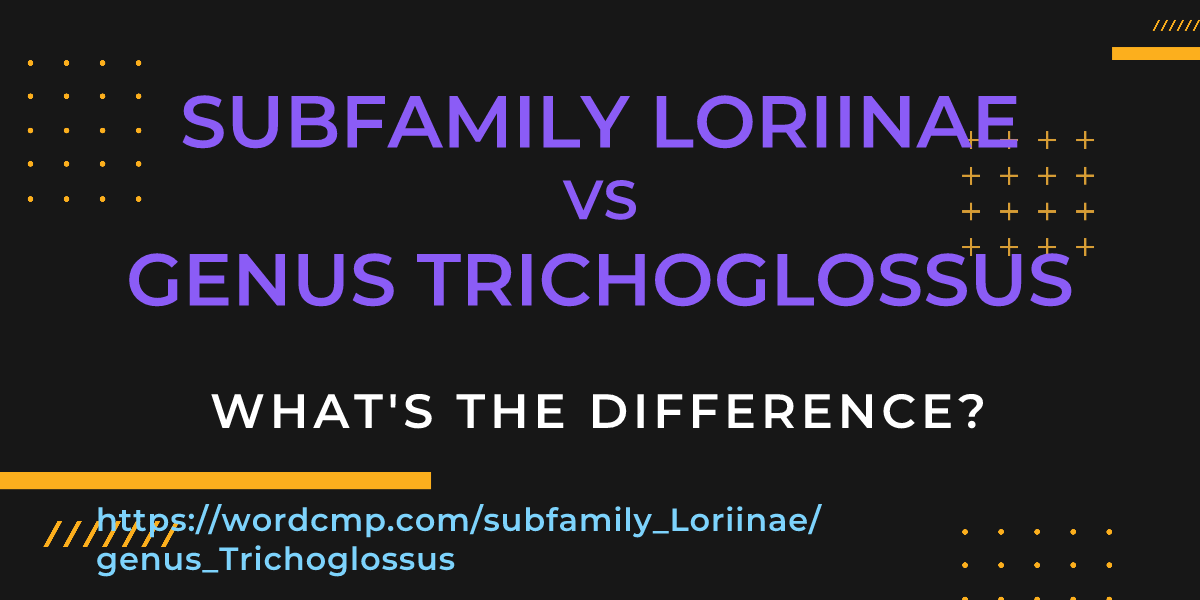 Difference between subfamily Loriinae and genus Trichoglossus