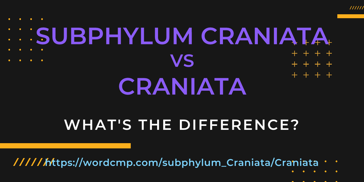 Difference between subphylum Craniata and Craniata