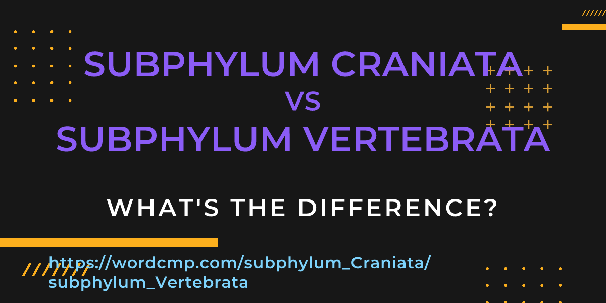 Difference between subphylum Craniata and subphylum Vertebrata