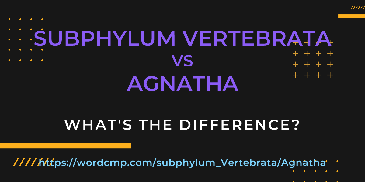 Difference between subphylum Vertebrata and Agnatha