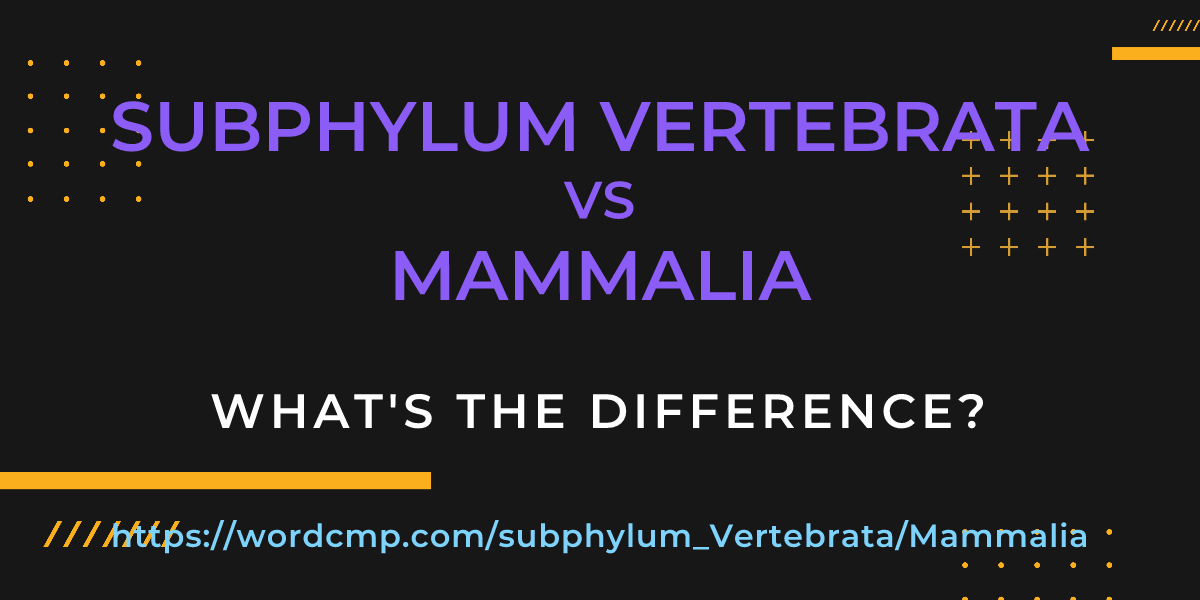 Difference between subphylum Vertebrata and Mammalia