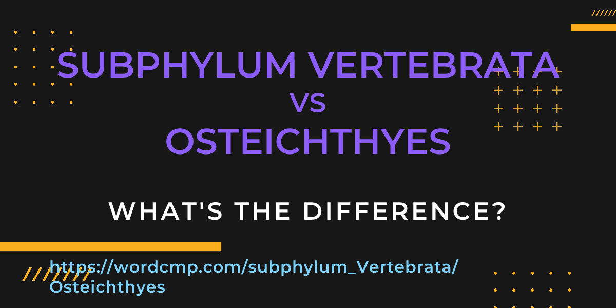 Difference between subphylum Vertebrata and Osteichthyes
