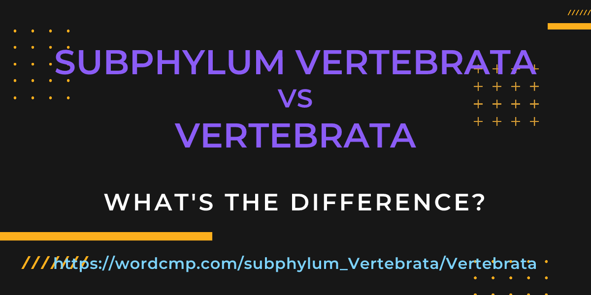 Difference between subphylum Vertebrata and Vertebrata