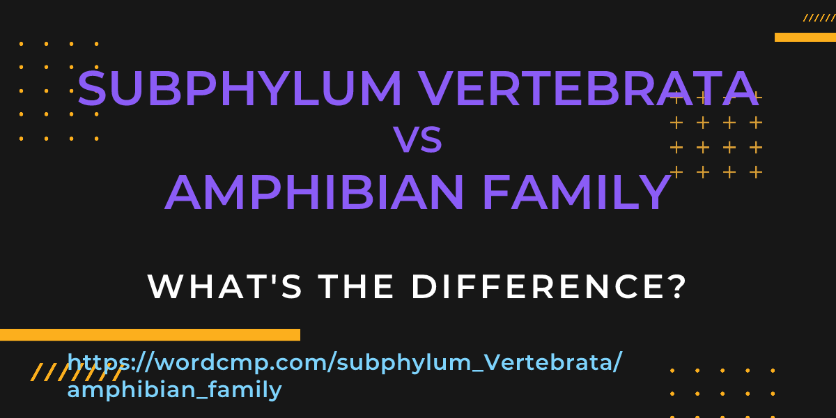 Difference between subphylum Vertebrata and amphibian family