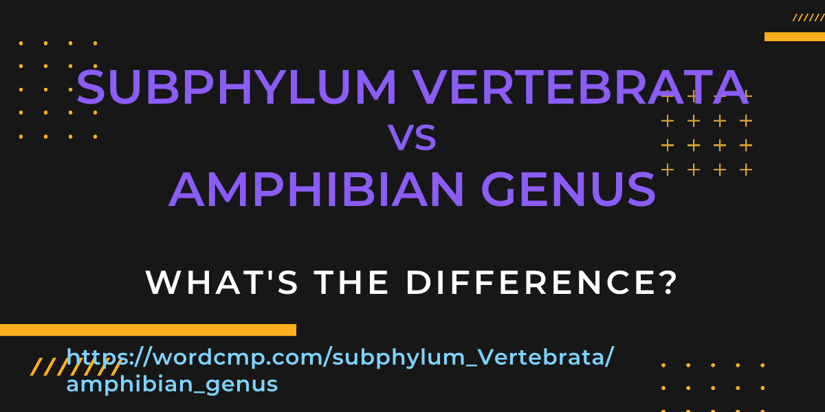 Difference between subphylum Vertebrata and amphibian genus