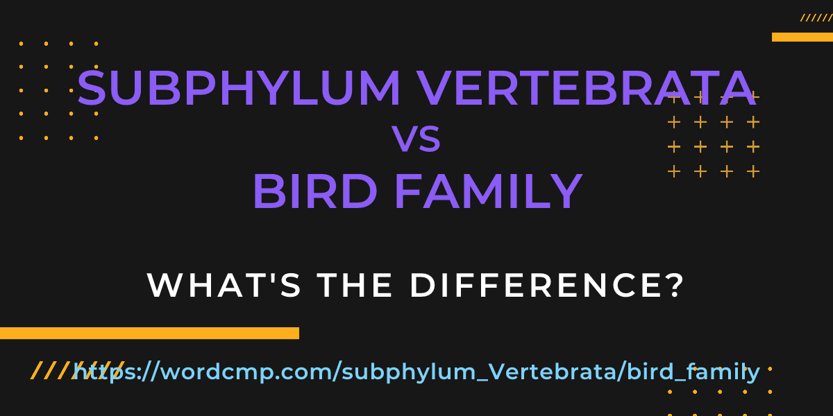 Difference between subphylum Vertebrata and bird family