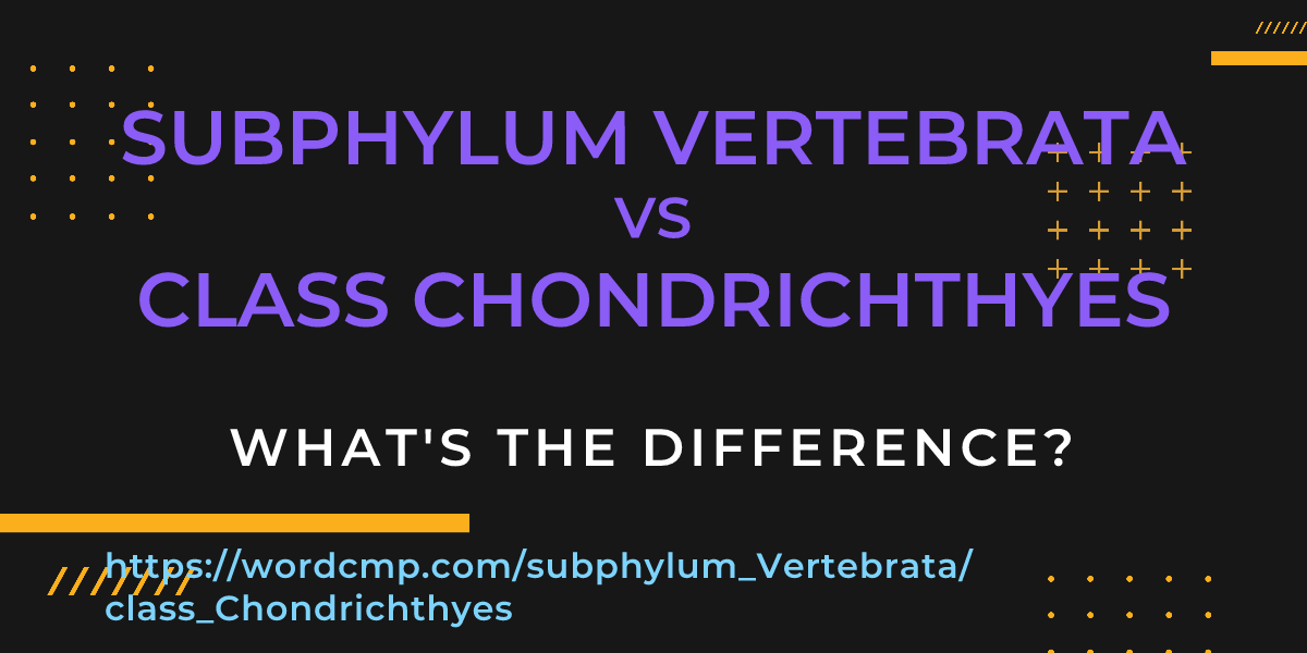 Difference between subphylum Vertebrata and class Chondrichthyes