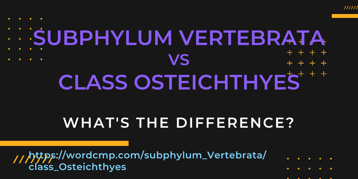 Difference between subphylum Vertebrata and class Osteichthyes