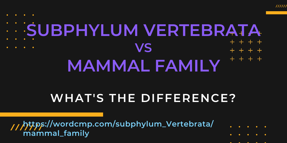 Difference between subphylum Vertebrata and mammal family