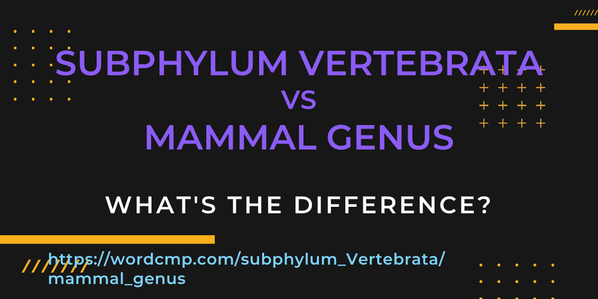 Difference between subphylum Vertebrata and mammal genus