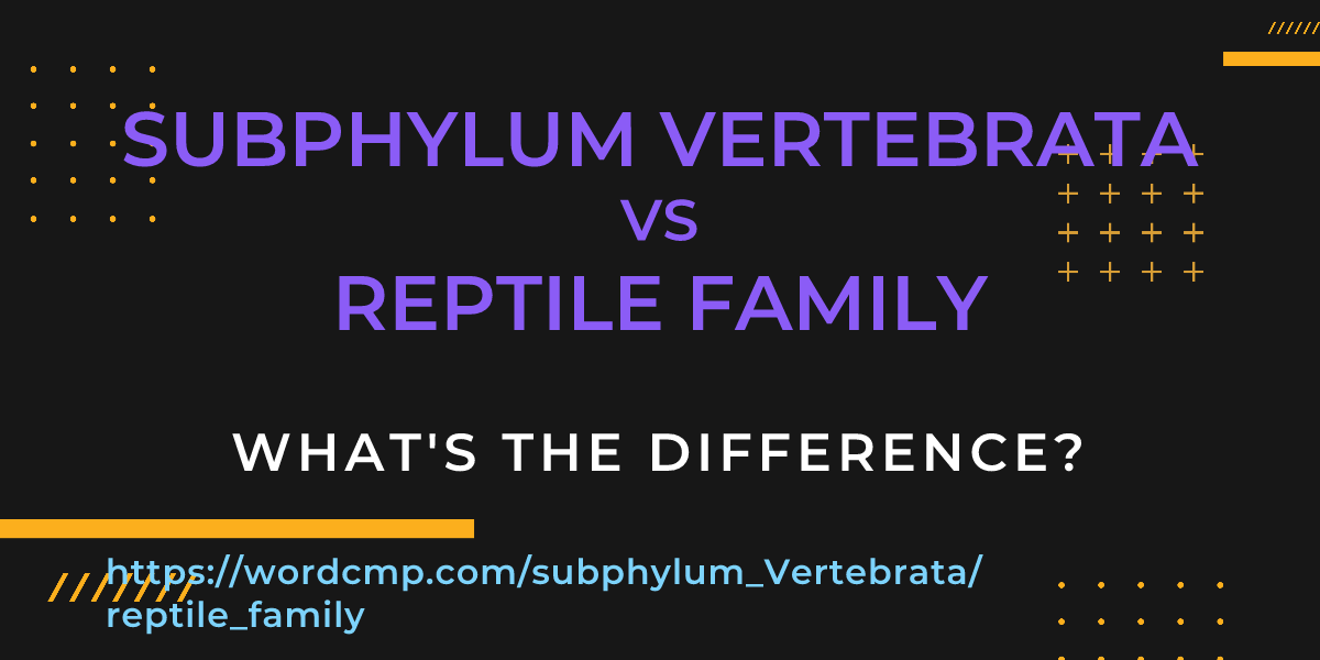 Difference between subphylum Vertebrata and reptile family
