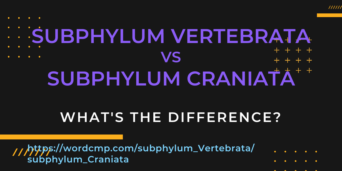 Difference between subphylum Vertebrata and subphylum Craniata