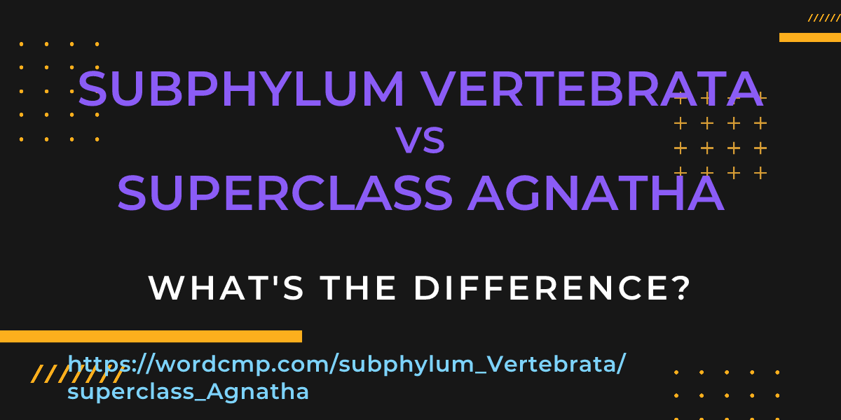 Difference between subphylum Vertebrata and superclass Agnatha