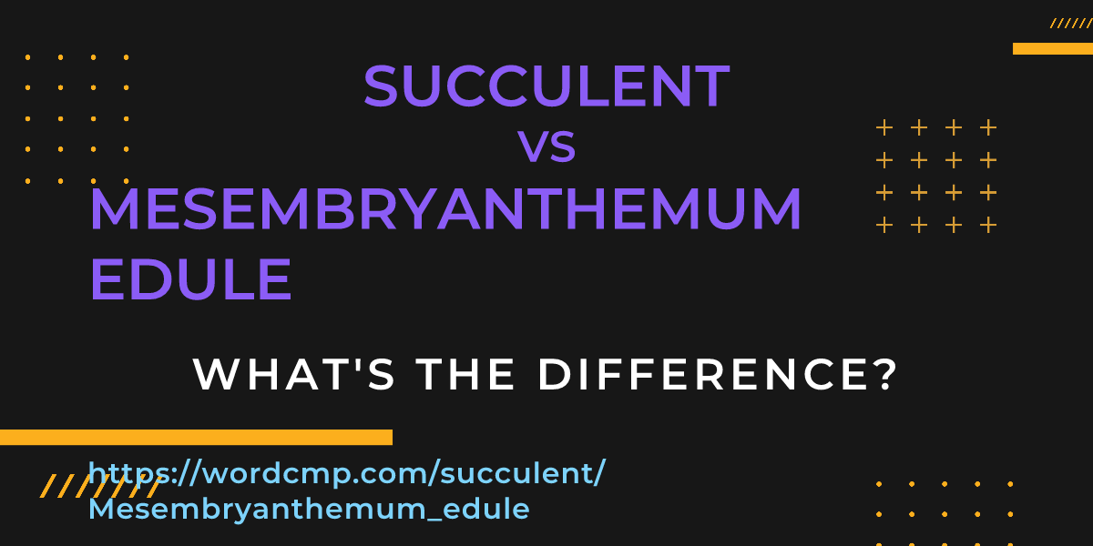 Difference between succulent and Mesembryanthemum edule