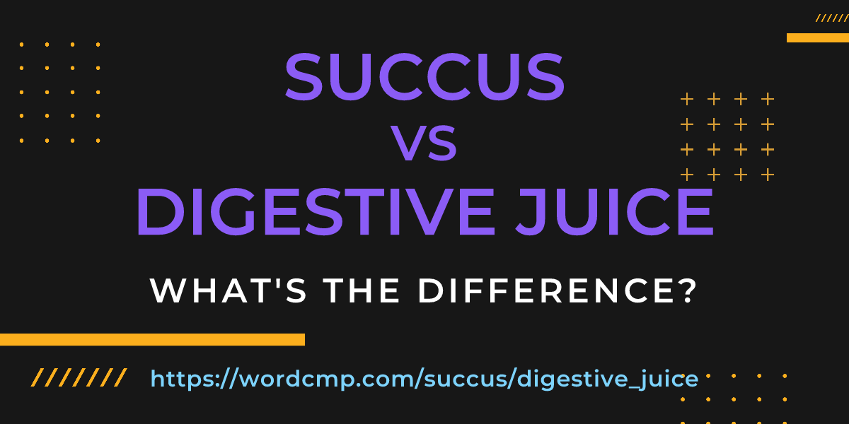 Difference between succus and digestive juice