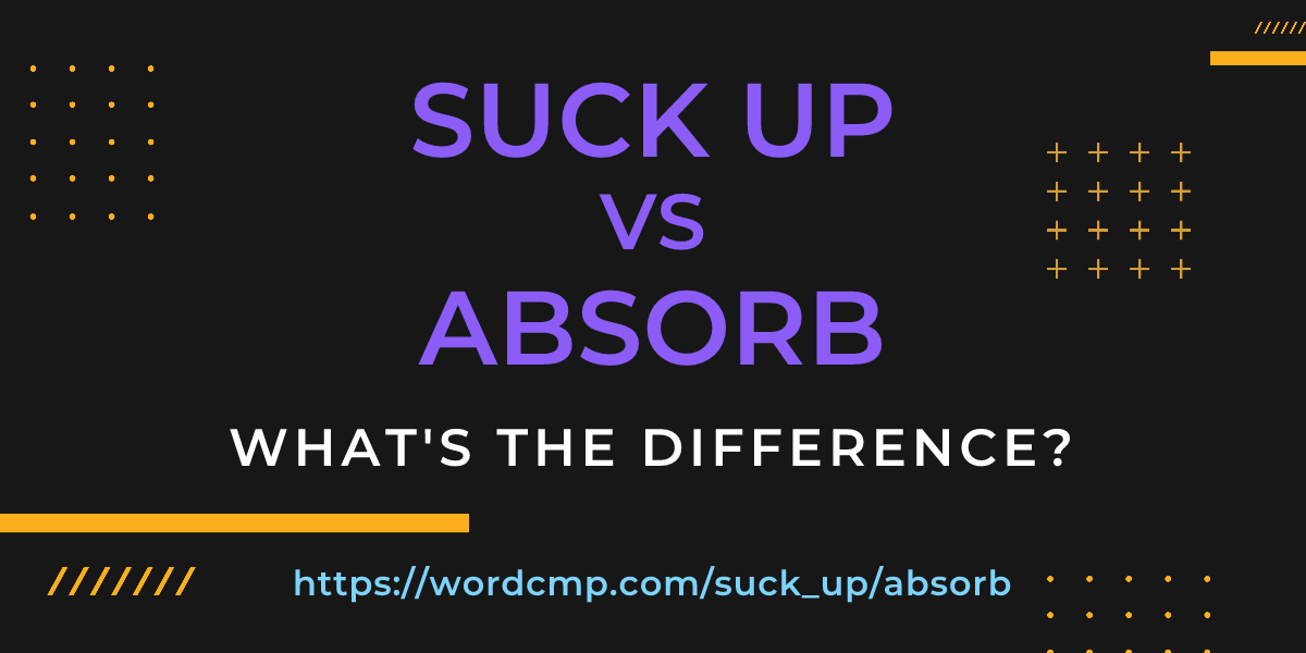 Difference between suck up and absorb