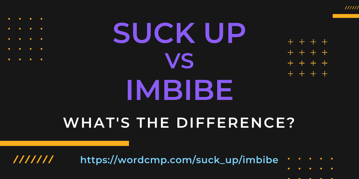 Difference between suck up and imbibe